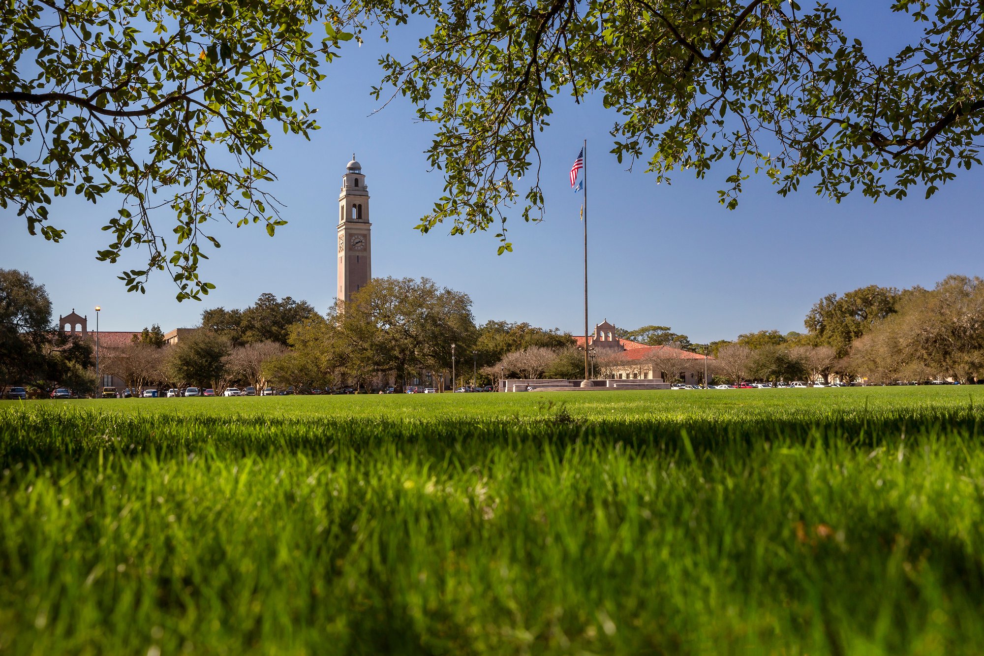 LSU3378 Parade Grounds beneath an Oak (2)