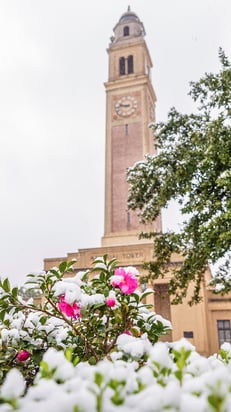 LSU7616 Snowy Campus - Vertical
