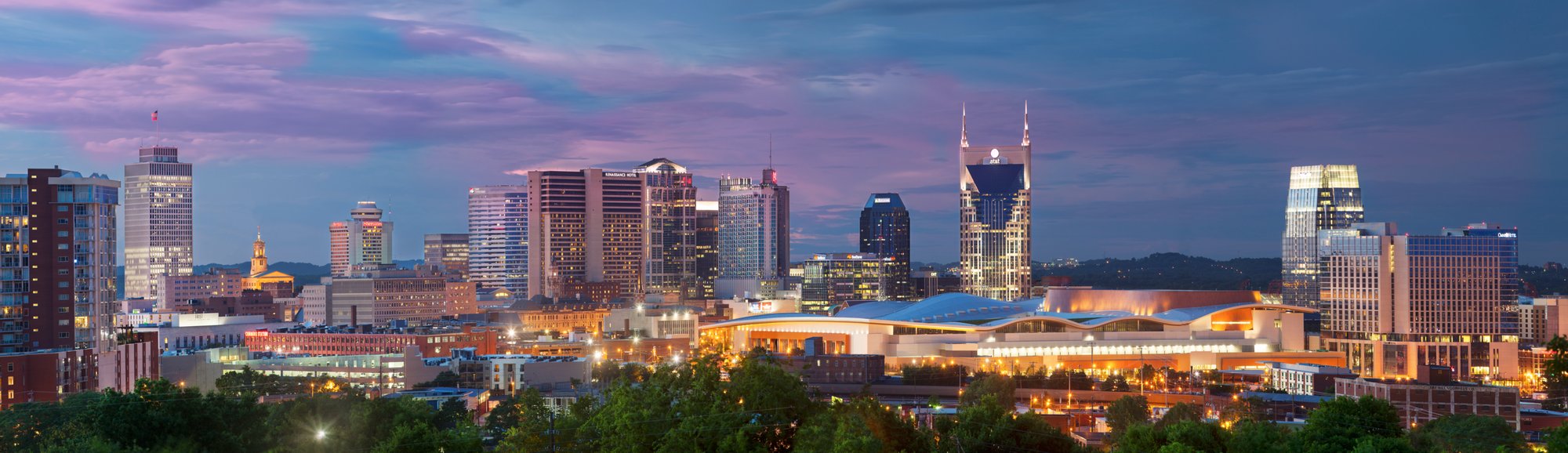 Nashville Chapter Landing Page Header Nashville Chapter Landing Page Header