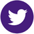 Social Icons_Purple (1)