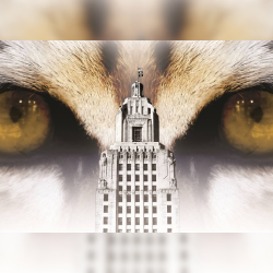 Tiger Advocates